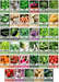 Survival Vegetable Seeds Garden Kit Over 16,000 Seeds Non-GMO and Heirloom, Great for Emergency Bugout Survival Gear 35 Varieties Seeds for Planting Vegetables 35 Free Plant Markers Gardeners Basics