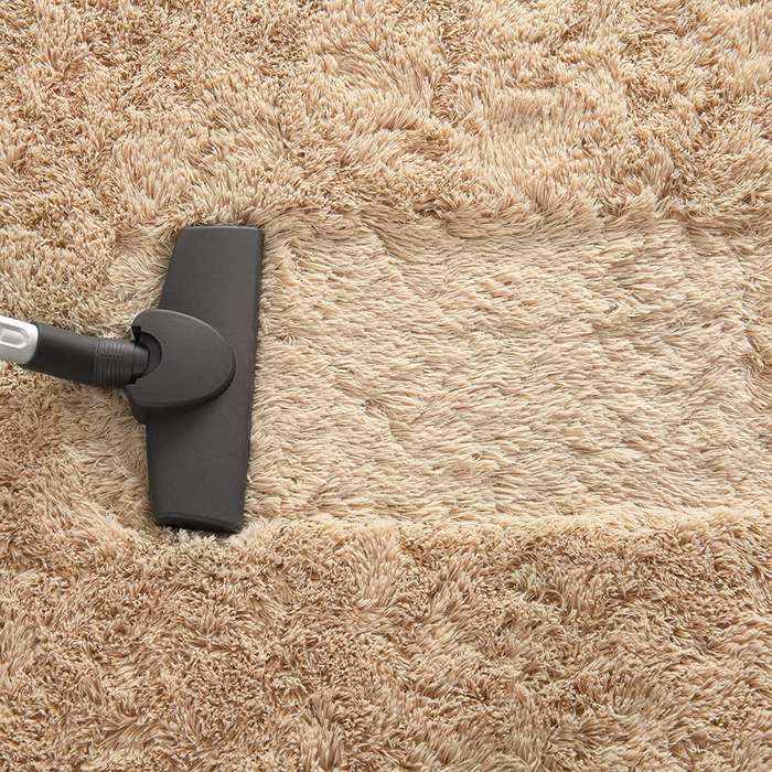Ompaa Fluffy Rug, Super Soft Fuzzy Area Rugs for Bedroom Living Room - 3' x 5' Large Plush Furry Shag Rug - Kids Playroom Nursery Classroom Dining Room Decor Floor Carpet, Beige