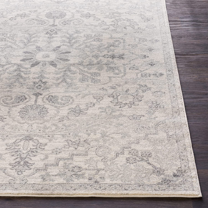 Artistic Weavers Odelia Updated Traditional Rug Beige 2' x 3'