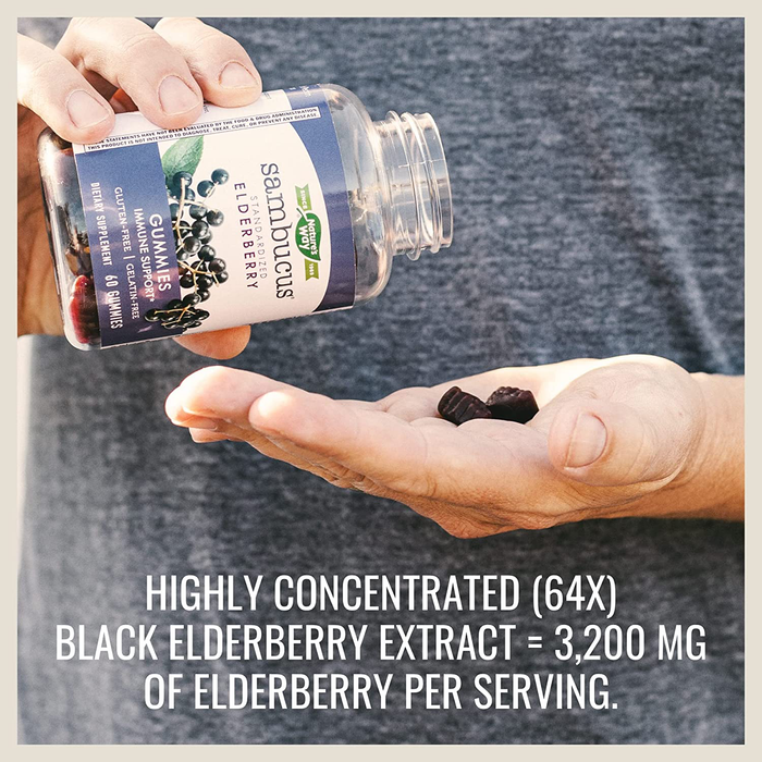 Nature’s Way Sambucus Elderberry Gummies, Immune Support Gummies*, Black Elderberry with Vitamin C and Zinc, 60 Gummies
