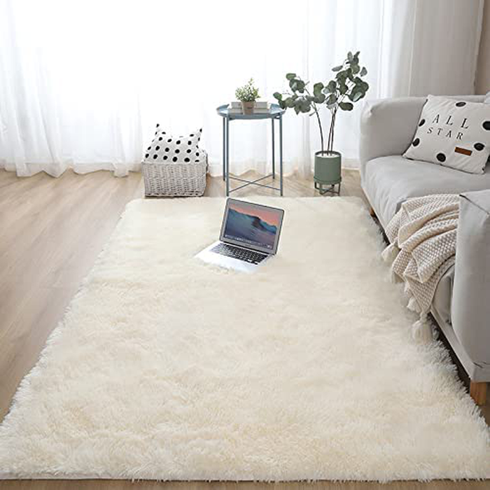 Modern Area Rugs Soft Decor Rug for Bedroom Living Room Nursery Floor Fluffy Shag Collection Rug Plush Fuzzy Shaggy Throw Rug Washable Faux Sheepskin Fur Mats Multi Colored Accent Rug Carpet Beige 2x3