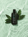 Tea Tree Special Shampoo, For All Hair Types