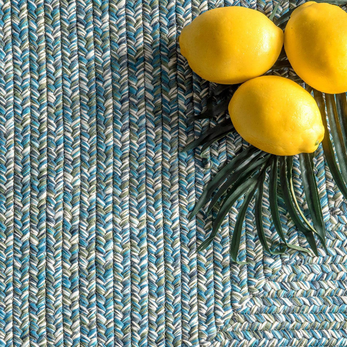 nuLOOM Wynn Braided Indoor/Outdoor Accent Rug, 2' x 3', Aqua