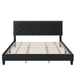 Emanuell Tufted Low Profile Bed