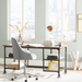 Rayden Desk