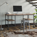 Rayden Desk