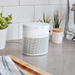 Bose Home Speaker 300: Bluetooth Smart Speaker with Amazon Alexa Built-in, Silver