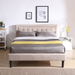 Pinheiro Tufted Upholstered Low Profile Platform Bed