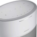 Bose Home Speaker 300: Bluetooth Smart Speaker with Amazon Alexa Built-in, Silver